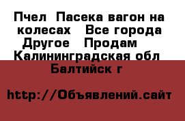 Пчел. Пасека-вагон на колесах - Все города Другое » Продам   . Калининградская обл.,Балтийск г.